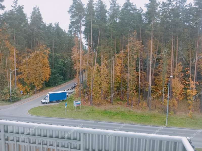 трёхкомнатная квартира на улице Академика Харитона дом 6 город Саров