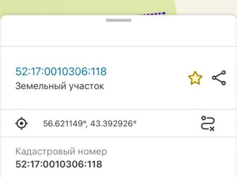 derevnya-shelyauhovo-balahninskiy-municipalnyy-okrug фото