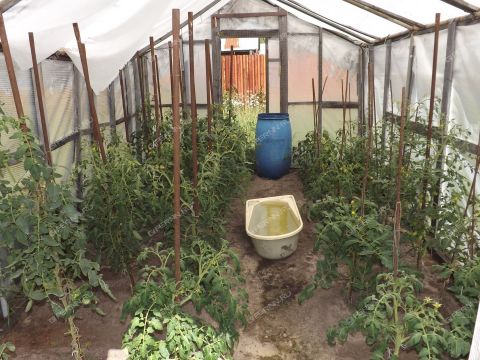 dom-poselok-vatomskiy-gorodskoy-okrug-bor фото