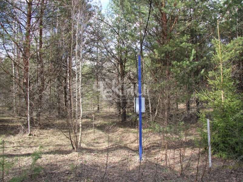 земельный участок 10,6 сотки Тенистая деревня Кудрино