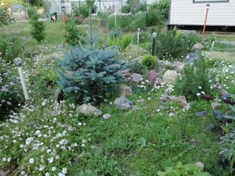 дом на сектор 1 село Каменки