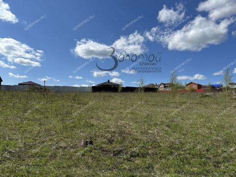 derevnya-shumilovo-bogorodskiy-municipalnyy-okrug фото