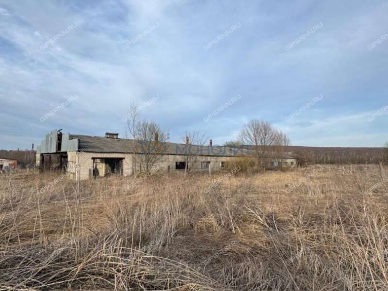 имущественный комплекс под склад, производственную площадь на Совхозной улице деревня Сысоевка