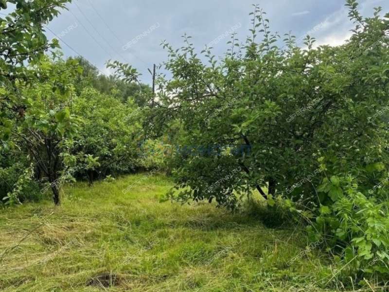 земельный участок 14,68 сотки Дорожная улица село Смольки