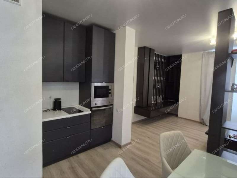 двухкомнатная квартира на Русской улице улице дом 9 деревня Анкудиновка