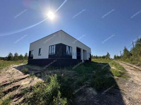 dom-derevnya-berezovka-bogorodskiy-municipalnyy-okrug фото