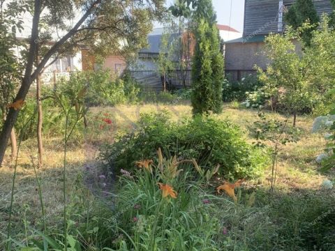 dacha-derevnya-rekshino-gorodskoy-okrug-bor фото
