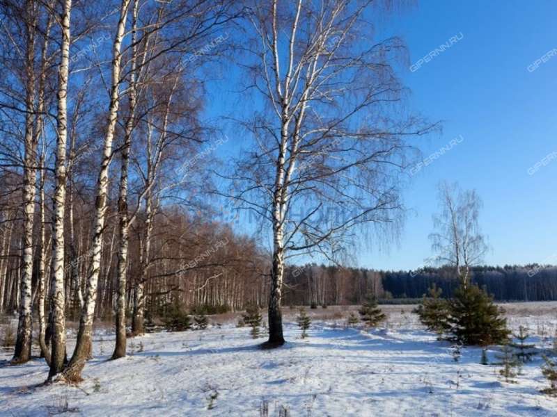 земельный участок 15,7 сотки Центральная улица