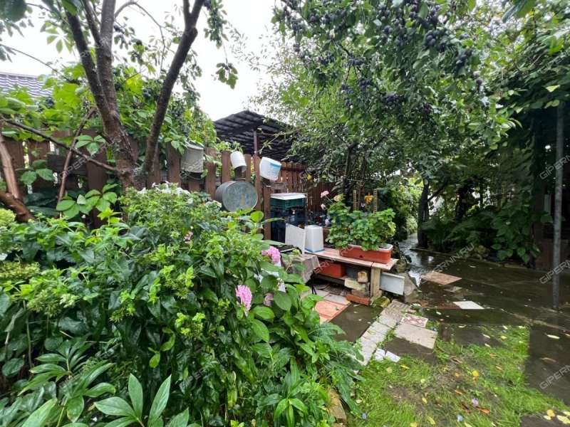 дача на СНТ № 19 Доскинец