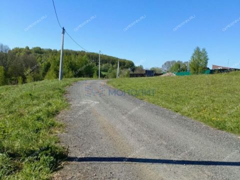 derevnya-shumilovo-bogorodskiy-municipalnyy-okrug фото