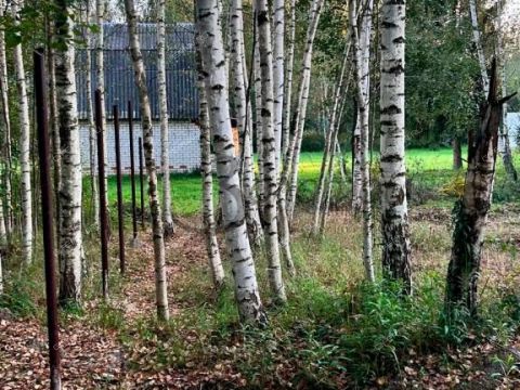 kottedzh-derevnya-pikinskie-grivy-gorodskoy-okrug-bor фото