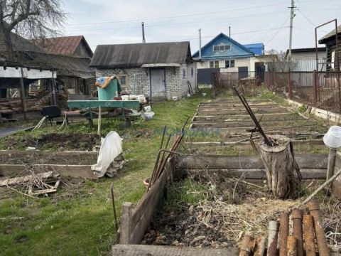 gorodskoy-okrug-bor-gorodskoy-okrug-bor фото