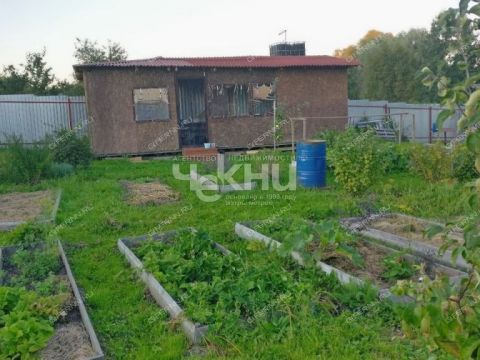 derevnya-palcino-bogorodskiy-municipalnyy-okrug фото