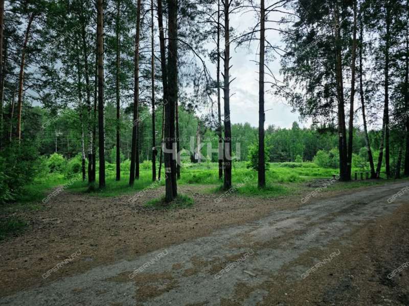 дом на  СНТ N8 ОАО ГАЗ