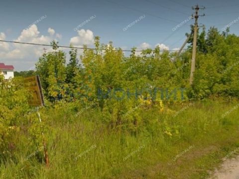 selo-dudenevo-bogorodskiy-municipalnyy-okrug фото