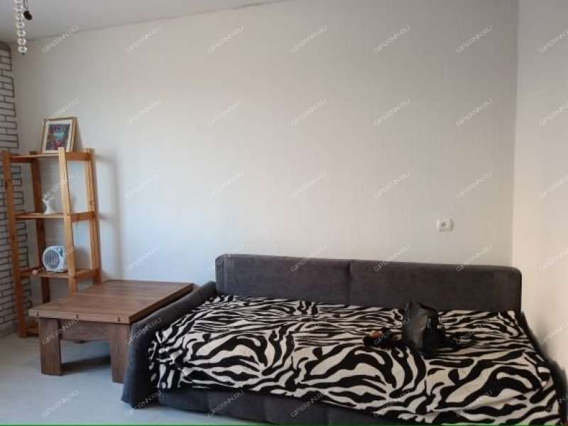 однокомнатная квартира на улице Дружаева дом 15