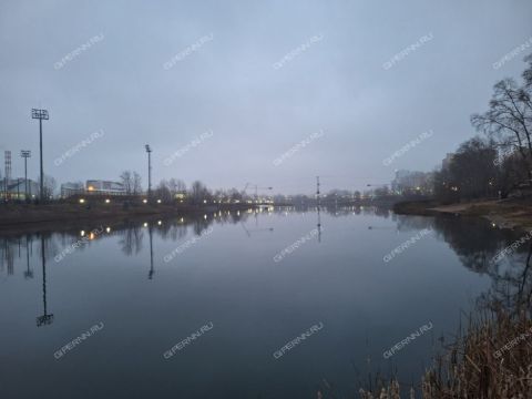 1-komnatnaya-b-r-meshherskiy-d-7-2 фото