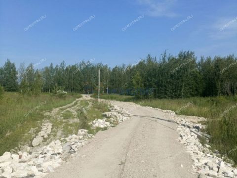 gorod-bor-gorodskoy-okrug-bor фото