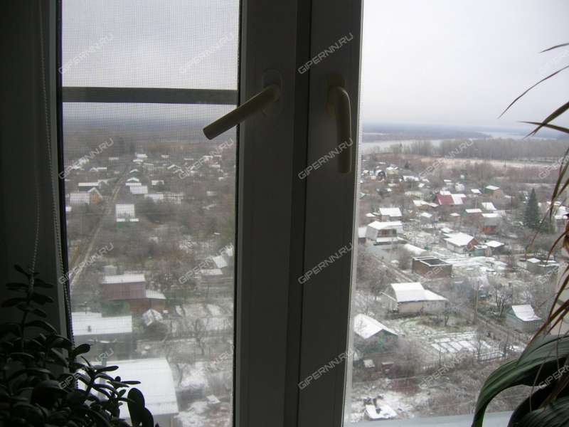 двухкомнатная квартира на проспекте Победы дом 14 город Кстово